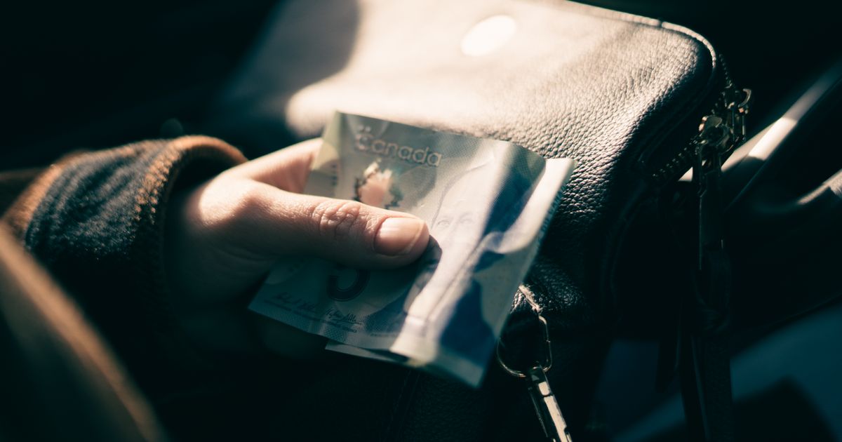 A person holding a Canadian five-dollar bill close to a leather handbag, showcasing financial transactions.